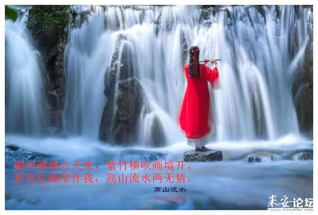 寻找萌小老虎